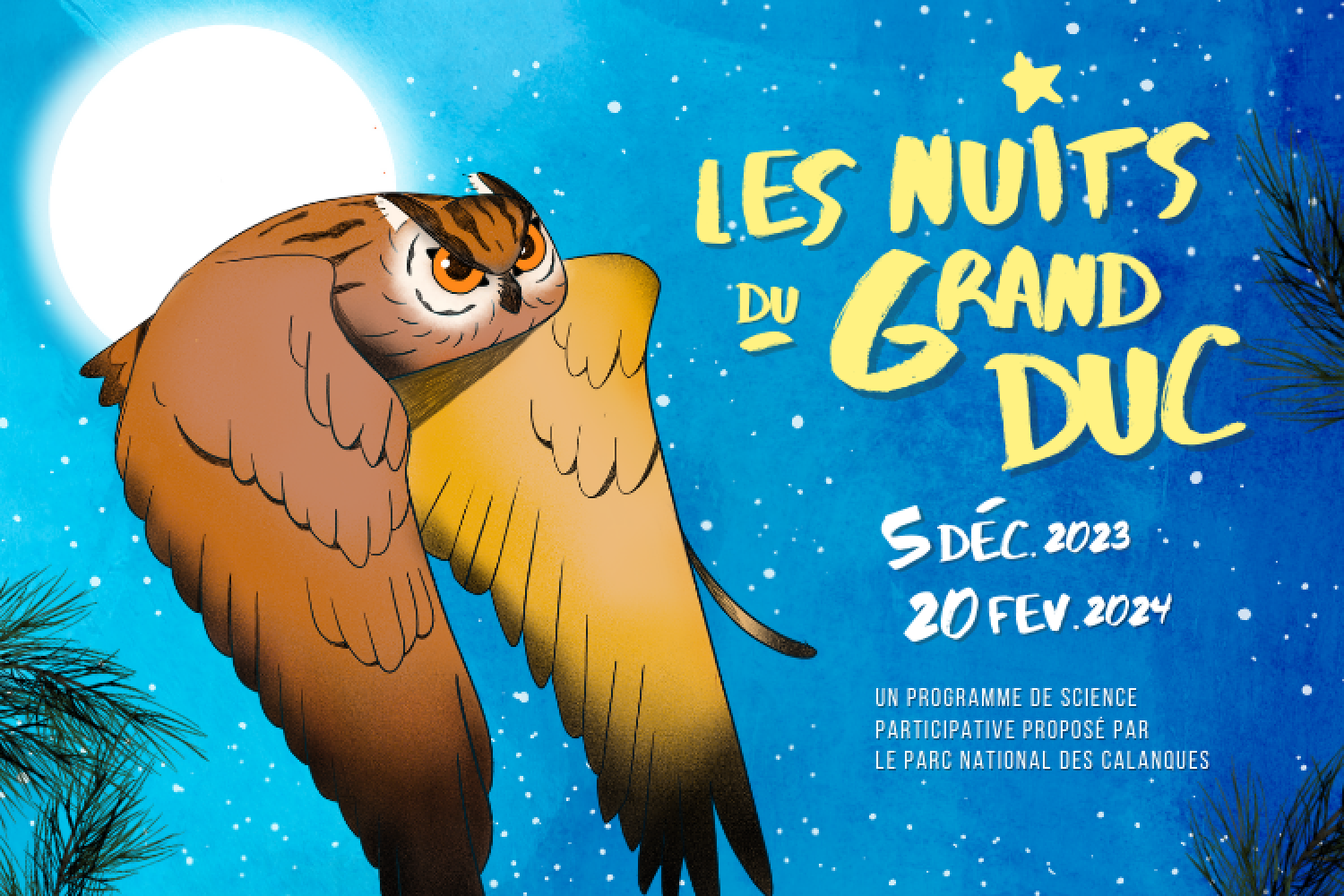 Les nuits du Grand-duc | Parc national des calanques